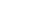 CerebralEmpire logo