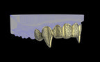 Fiendsmith's Maw - Custom Grillz / Tooth Caps