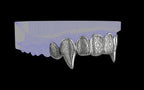 Fiendsmith's Maw - Custom Grillz / Tooth Caps