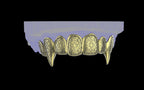 Fiendsmith's Maw - Custom Grillz / Tooth Caps