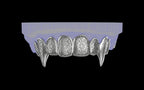 Fiendsmith's Maw - Custom Grillz / Tooth Caps