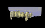 Fiendsmith's Maw - Custom Grillz / Tooth Caps
