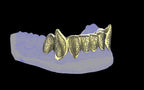 Fiendsmith's Maw - Custom Grillz / Tooth Caps