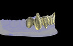 Fiendsmith's Maw - Custom Grillz / Tooth Caps