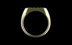 "Nyalla" Minimalist Long Hex Signet Ring - Custom Pave Gemstones - Sterling Silver / Brass