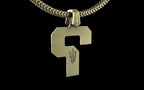 Tipper ? Pendant (Thin)