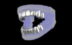 Custom Grillz & Tooth Caps - Plain Jane