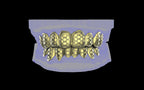 Custom Grillz / Tooth Caps - Funktion One