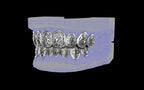 Custom Grillz / Tooth Caps - Graffiti Cut
